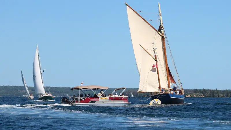 Sailboats racing during Chester Race Week with spectator boat nearby